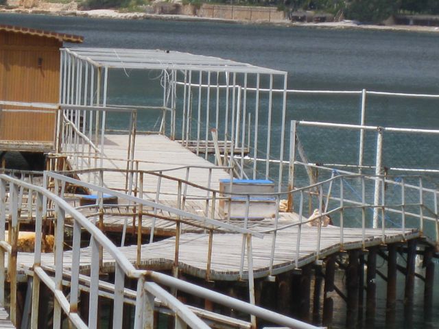 Delfin-Zwinger in Kas (WDSF-Foto)