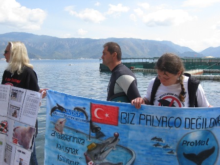Onmega Dolphin-Therapy-Center