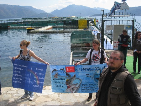 Onmega Dolphin-Therapy-Center Onmega Dolphin-Therapy-Center