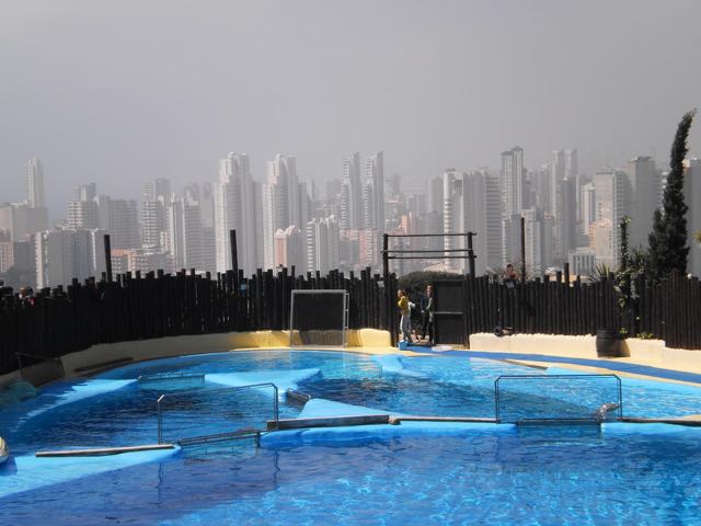 Mundomar-Delfinarium in Benidorm/Spanien Foto: privat WDSF-Copyright Mundomar-Delfinarium in Benidorm/Spanien Foto: privat WDSF-Copyright