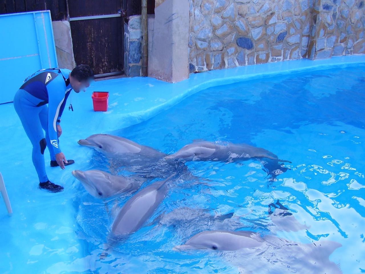 Mundomar-Delfinarium in Benidorm/Spanien Foto: privat WDSF-Copyright Mundomar-Delfinarium in Benidorm/Spanien Foto: privat WDSF-Copyright