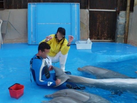 Mundomar-Delfinarium in Benidorm/Spanien Foto: privat WDSF-Copyright Mundomar-Delfinarium in Benidorm/Spanien Foto: privat WDSF-Copyright