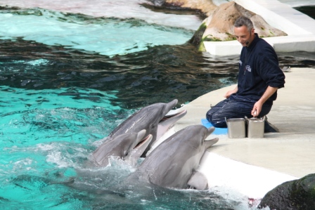Delfintrainer Roland Edler - WDSF-Foto