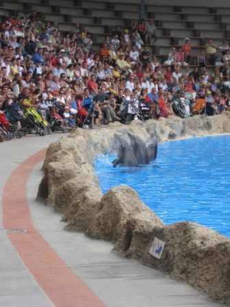 Delfinarium Loro Parque (Teneriffa)